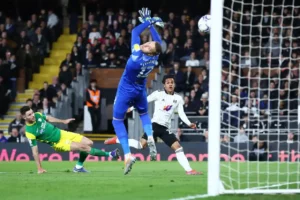 แทงบอล SBOBET